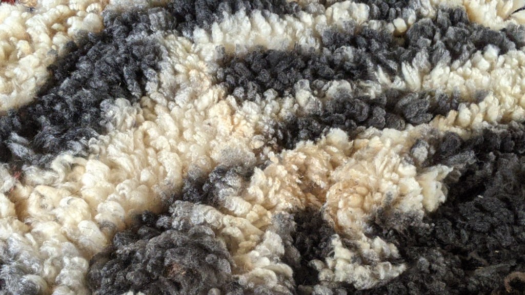 Jacob Shearing Day, Washington County,&nbsp;Ohio