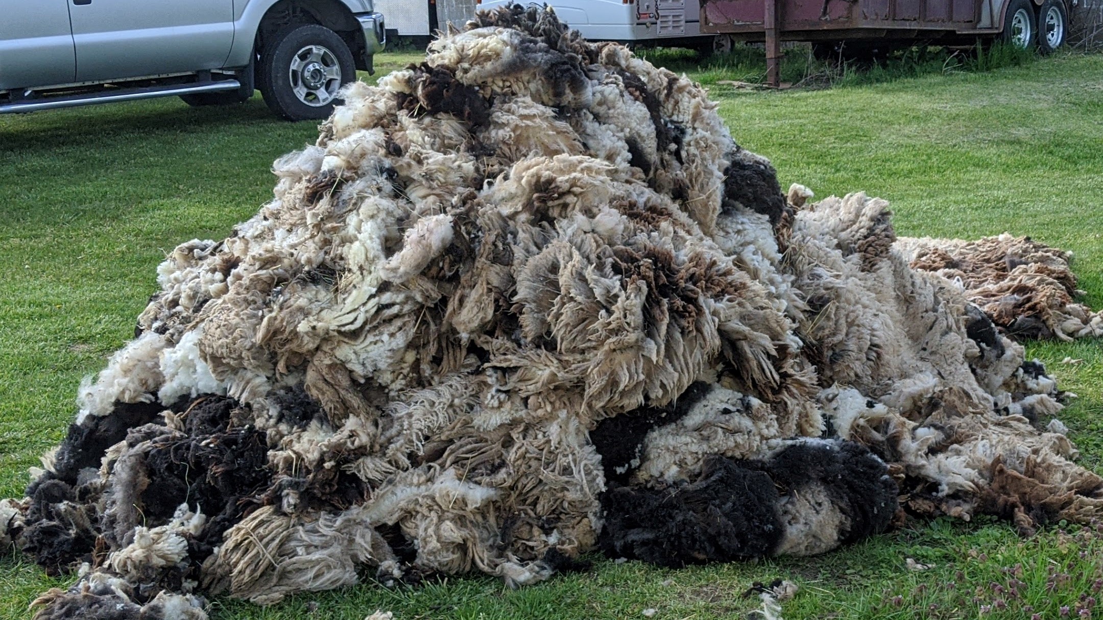 Waste Wool-to-Pellet-to-Healthy Soil