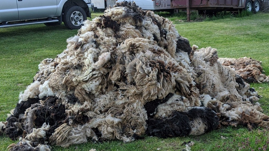 Waste Wool-to-Pellet-to-Healthy Soil