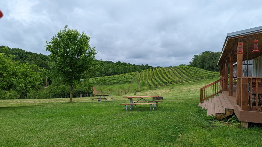 an image of the porch of a building with steps leading to grass, the vineyards in the hills in the background.